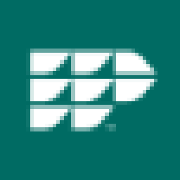 International Paper